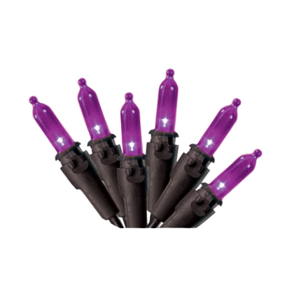 Hardware Store USA | 100LT PURP LED Mini Set