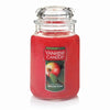 Hardware Store USA | 22OZ Macintosh Candle | Pack Of 6