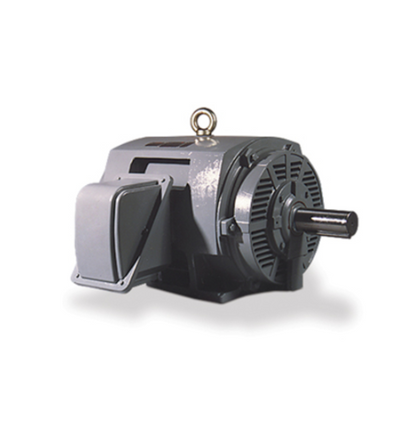 TECO - Westinghouse DHP0022 General Purpose Motor