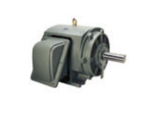 TECO - Westinghouse DHP1/54G General Purpose Motor