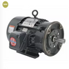 US Motors HD1P2EC General Purpose Motor