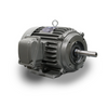 TECO - Westinghouse JPP0016 Close Coupled Pump Motor