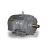 TECO - Westinghouse NP0022G General Purpose Motor