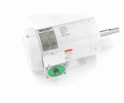 Leeson/Lincoln 122198.00 Low Voltage Washdown Duty motor