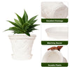 14 Inch Style Flower Pot with 14 Inch Bottom Tray Plastic Planter - Set of 2