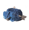 TECO - Westinghouse XPV0014C Explosion Proof Motor