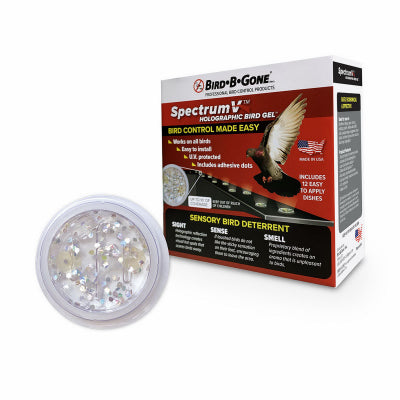 Hardware Store USA | Spectrum V Gel