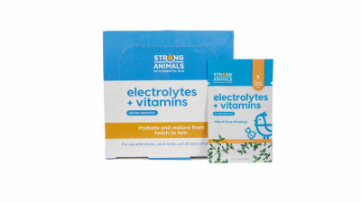 Hardware Store USA | 6G Electrolyte/Vitamins | Pack Of 30