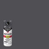 Hardware Store USA | 12OZ CHAR Spray Paint