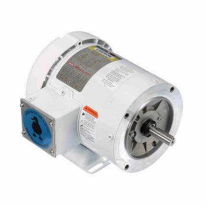 Leeson/Lincoln 112429.00 Washdown Duty Motor