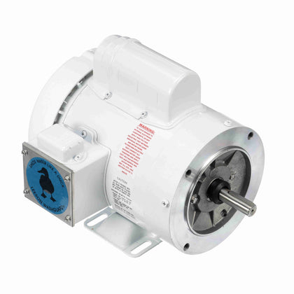 Leeson/Lincoln 112528.00 Washdown Duty Motor