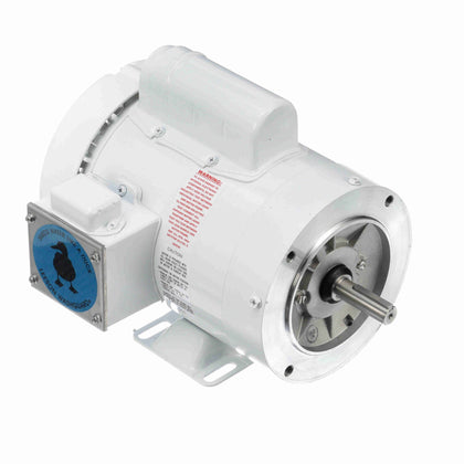 Leeson/Lincoln 112529.00 Washdown Duty Motor