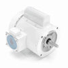 Leeson/Lincoln 113581.00 Washdown Duty Motor