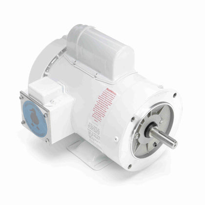 Leeson/Lincoln 113584.00 Washdown Duty Motor