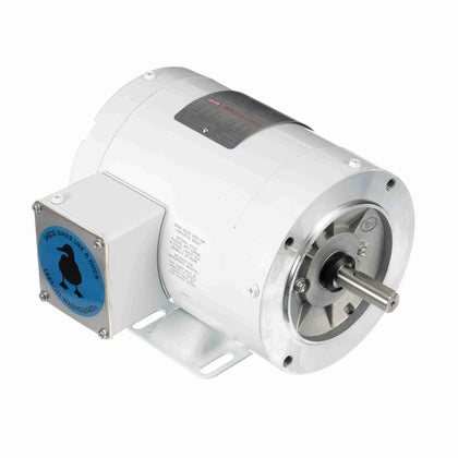 Leeson/Lincoln 113588.00 Washdown Duty Motor