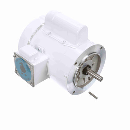 Leeson/Lincoln 114312.00 Washdown Duty Motor