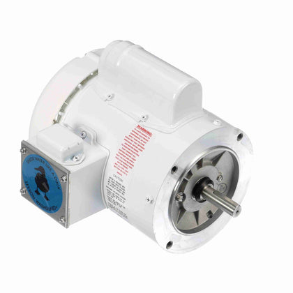 Leeson/Lincoln 114313.00 Washdown Duty Motor