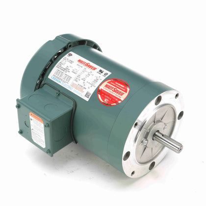 Leeson/Lincoln 116750.00 General Purpose Motor