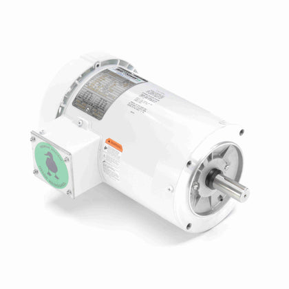 Leeson/Lincoln 122180.00 Washdown Duty Motor