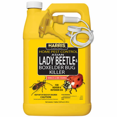 Hardware store usa |  GAL Beetle Elder Killer | HBXA-128 | P F HARRIS MFG CO