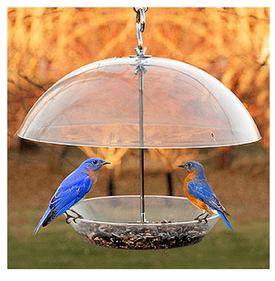 Dome Top Seed Feeder