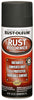 Hardware store usa |  10.25 Rust Reformer | 248658 | RUST-OLEUM
