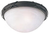 Hardware store usa |  2LGT Ceiling Fixture | 69407 | WESTINGHOUSE LIGHTING CORP