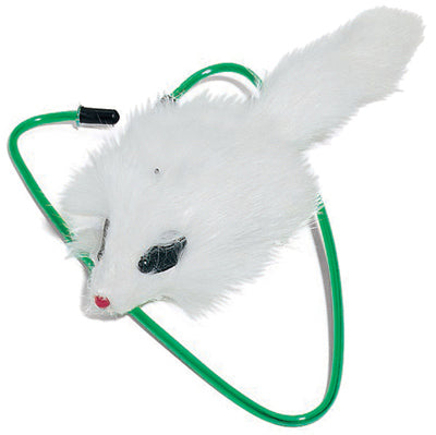 Hardware store usa |  A Door Able Cat Toy | 2427 | ETHICAL PRODUCTS INC