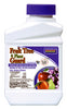 Hardware Store USA | PT Conc Plant Guard