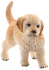 Hardware Store USA | Golden Retriever Puppy