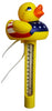 Hardware Store USA | Duck Pool Thermometer