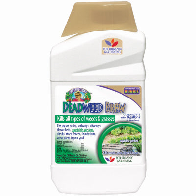 Hardware Store USA | QT Conc Deadweed Brew