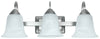 Hardware Store USA | 3LGT NI Vanity Fixture