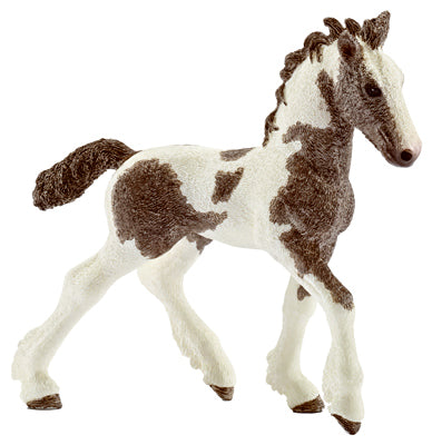 Hardware Store USA | BRN/WHT Tinker Foal