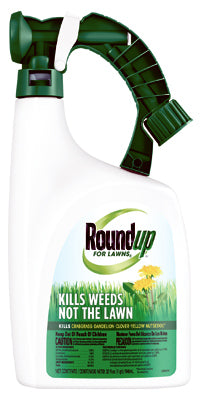 Hardware Store USA | 32OZ RTS N Weed Killer