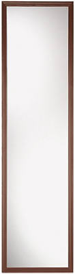 14x50 Wal Door Mirror