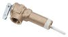 Hardware Store USA | 3/4x2-1/2 T&P Valve