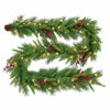 Hardware store usa |  HW9x10 Ber Art Garland | WB8-300-9A-D | NATIONAL TREE CO-IMPORT