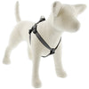 Hardware Store USA | 3/4x21 GRAN Dog Harness