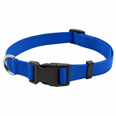 Hardware store usa |  PE 1x26 BLU Dog Collar | PE223885 | WESTMINSTER PET PRODUCTS IMP