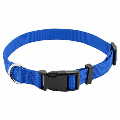 Hardware store usa |  PE3/4x20 BLU Dog Collar | PE223886 | WESTMINSTER PET PRODUCTS IMP