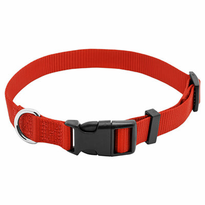 Hardware store usa |  PE3/4x20 RED Dog Collar | PE223996 | WESTMINSTER PET PRODUCTS IMP
