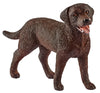 Hardware Store USA | Fem Labrador Retriever