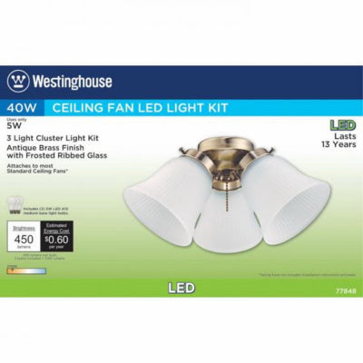 Hardware store usa |  3LGT AB Fros Fan Kit | 77848 | WESTINGHOUSE LIGHTING CORP