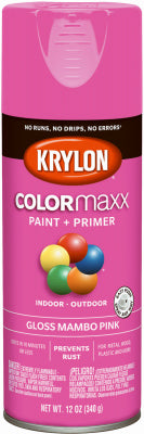 Hardware store usa |  12OZ Mambo PNK Paint | K05528007 | KRYLON DIVERSIFIED BRANDS
