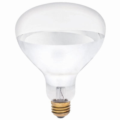 Hardware store usa |  1PK 125W R40 CLR Lamp | 390748 | WESTINGHOUSE LIGHTING CORP