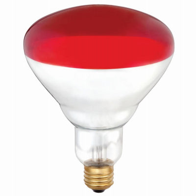 Hardware store usa |  1PK 250W R40 RED Lamp | 394848 | WESTINGHOUSE LIGHTING CORP