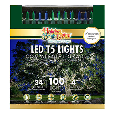 Hardware store usa |  100LGT T5 W GRN LED Set | LEDBX-T5100-BG4 | HOLIDAY BRIGHT LIGHTS