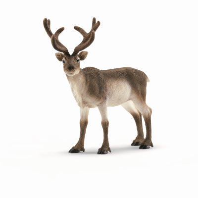 Hardware Store USA | BRN Reindeer