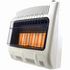 Hardware Store USA | 30K BTU NG Wall Heater